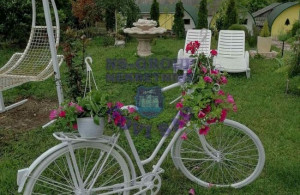 thumb_3611333_image_624cd9562fc94451e492c03e.jpg