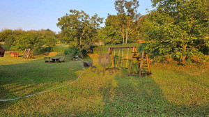 thumb_3611376_5.jpg