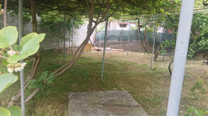 thumb_3611406_02-viber_slika_2025-07-15_18-31-42-689.jpg