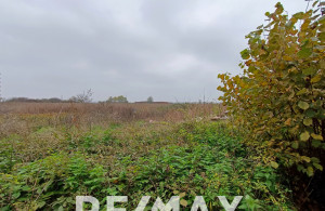thumb_3611908_1.jpg