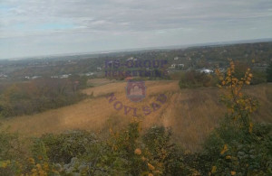 thumb_3611963_image_63ef90cd96bb37c37de93076.jpg