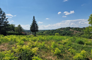 thumb_3612076_7.jpg