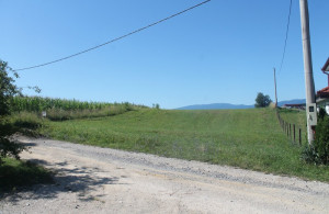 thumb_3612721_img_0034_800x533.jpg
