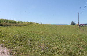 thumb_3612721_img_0039_800x533.jpg