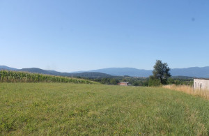thumb_3612721_img_0040_800x533.jpg
