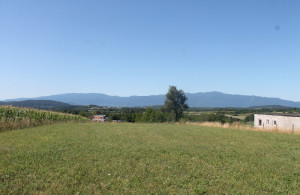 thumb_3612721_img_0044_800x533.jpg