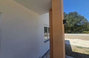 thumb_3613666_img_7582.jpeg