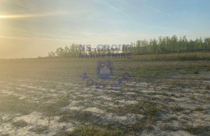 thumb_3613683_image_652974df44546e15d7cdceaf.jpg