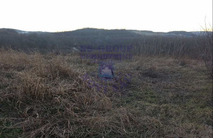 thumb_3614435_image_624ce03d2fc94451e4963831.jpg