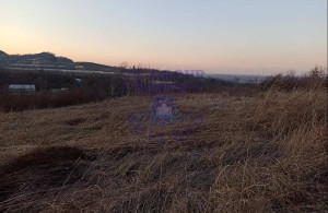 thumb_3614435_image_624ce03d2fc94451e4963832.jpg