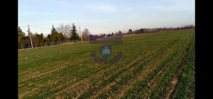 thumb_3614471_image_624cddea2fc94451e4950ae4.jpg