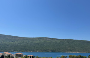 thumb_3614516_7.jpg