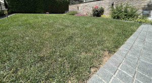 thumb_3615245_dedinje-kuca-prodaja.jpg