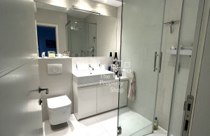 thumb_3615251_18-dedinje-rent.jpg