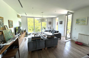 thumb_3615251_6-dedinje-rent.jpg