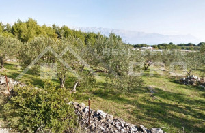 thumb_3615255_ular_shape_in_a_peaceful_location_in_sumartin_for_sale_2.jpg