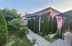 thumb_3615267_5.jpg