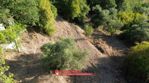 thumb_3615343_kuca-sa-placem-radanovici_14.jpg