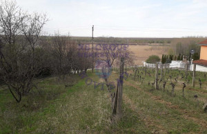 thumb_3615374_image_64247311e6861517e3cc7017.jpg