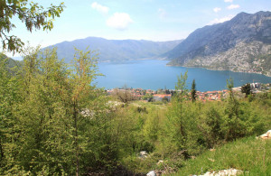 thumb_3615495_uchastokrisan_02.jpg