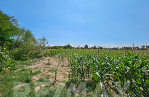 thumb_3615500_5.jpg