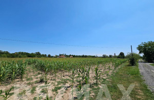 thumb_3615500_7.jpg