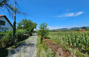 thumb_3615500_8.jpg