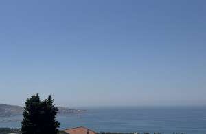 thumb_3616213_img_7945.jpeg
