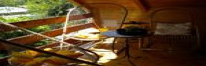 thumb_3616372_6.jpg