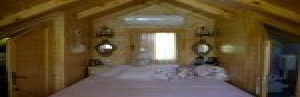 thumb_3616372_7.jpg