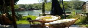 thumb_3616372_8.jpg