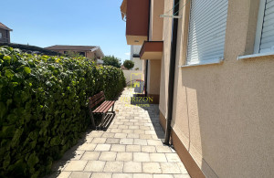 thumb_3616894_img_3974.jpeg