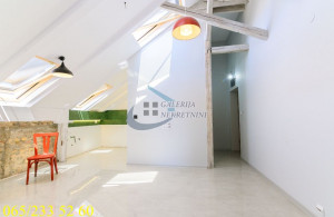 thumb_3616897_2.jpg