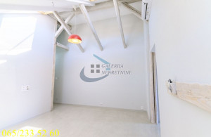 thumb_3616897_8.jpg