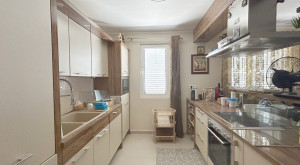 thumb_3616898_14.jpg