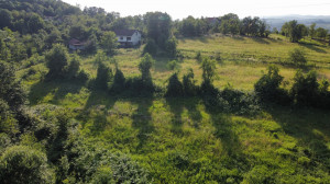 thumb_3616962_ji_fly_20250606_175502_599_1749380685736_photo_optimized.jpg