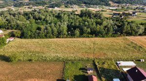thumb_3616966_ji_fly_20250629_185318_655_1751216360386_photo_optimized.jpg
