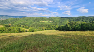 thumb_3616981_20250713_174456.jpg