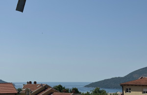 thumb_3617030_6.jpg