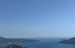 thumb_3617036_4.jpg