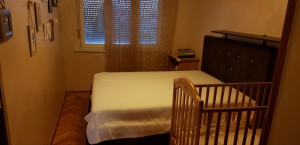 thumb_3617135_img_5603.jpeg