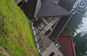 thumb_3617739_img_9167.jpeg