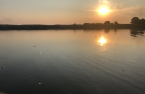 thumb_3617958_img_3695.jpeg