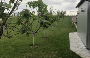 thumb_3617958_img_8567r.jpeg