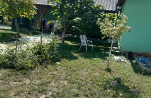 thumb_3617958_img_9786.jpeg