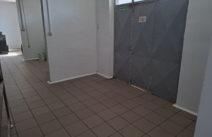 thumb_3618029_6.jpg