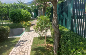 thumb_3618189_viber_image_2024-07-05_09-19-26-299.jpg