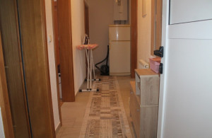 thumb_3618196_img_0305_800x533.jpg
