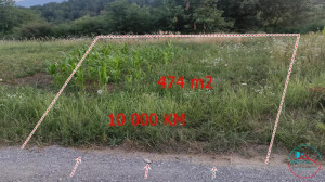 thumb_3618230_40731e47ce7176c0140836aac12ca5be.jpg