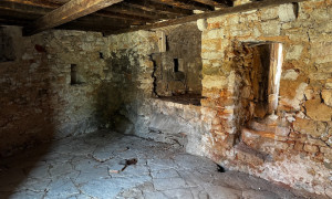 thumb_3618241_img_2020.jpg